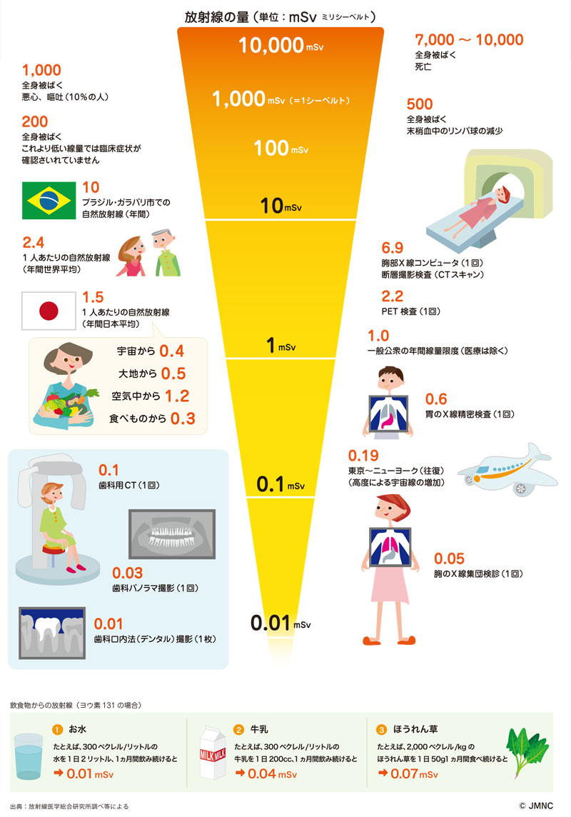 放射線量の目安